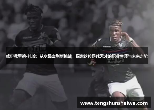 威尔弗里德·扎哈：从水晶宫到新挑战，探索这位足球天才的职业生涯与未来走势
