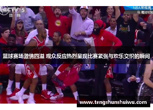 篮球赛场激情四溢 观众反应热烈呈现比赛紧张与欢乐交织的瞬间