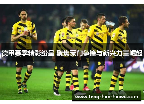 德甲赛季精彩纷呈 聚焦豪门争锋与新兴力量崛起