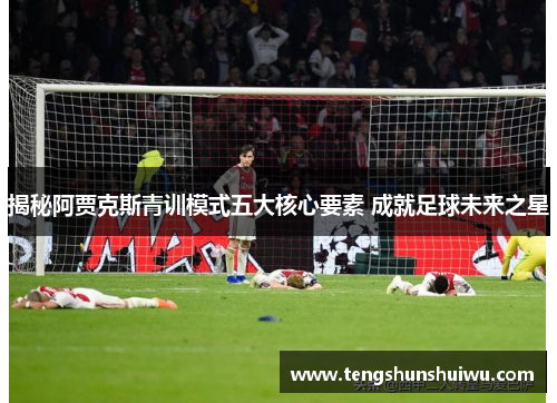 揭秘阿贾克斯青训模式五大核心要素 成就足球未来之星 揭秘阿贾克斯青训模式五大核心要素 成就足球未来之星
