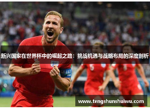 新兴国家在世界杯中的崛起之路：挑战机遇与战略布局的深度剖析