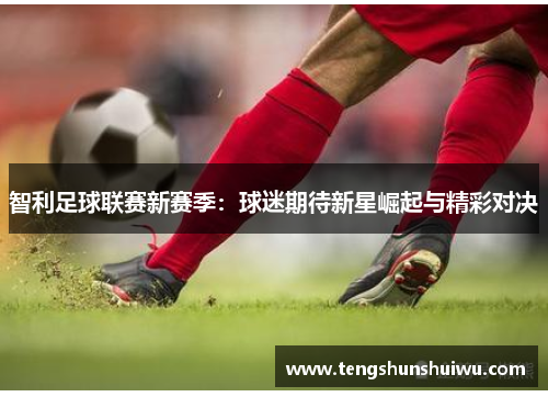 智利足球联赛新赛季：球迷期待新星崛起与精彩对决